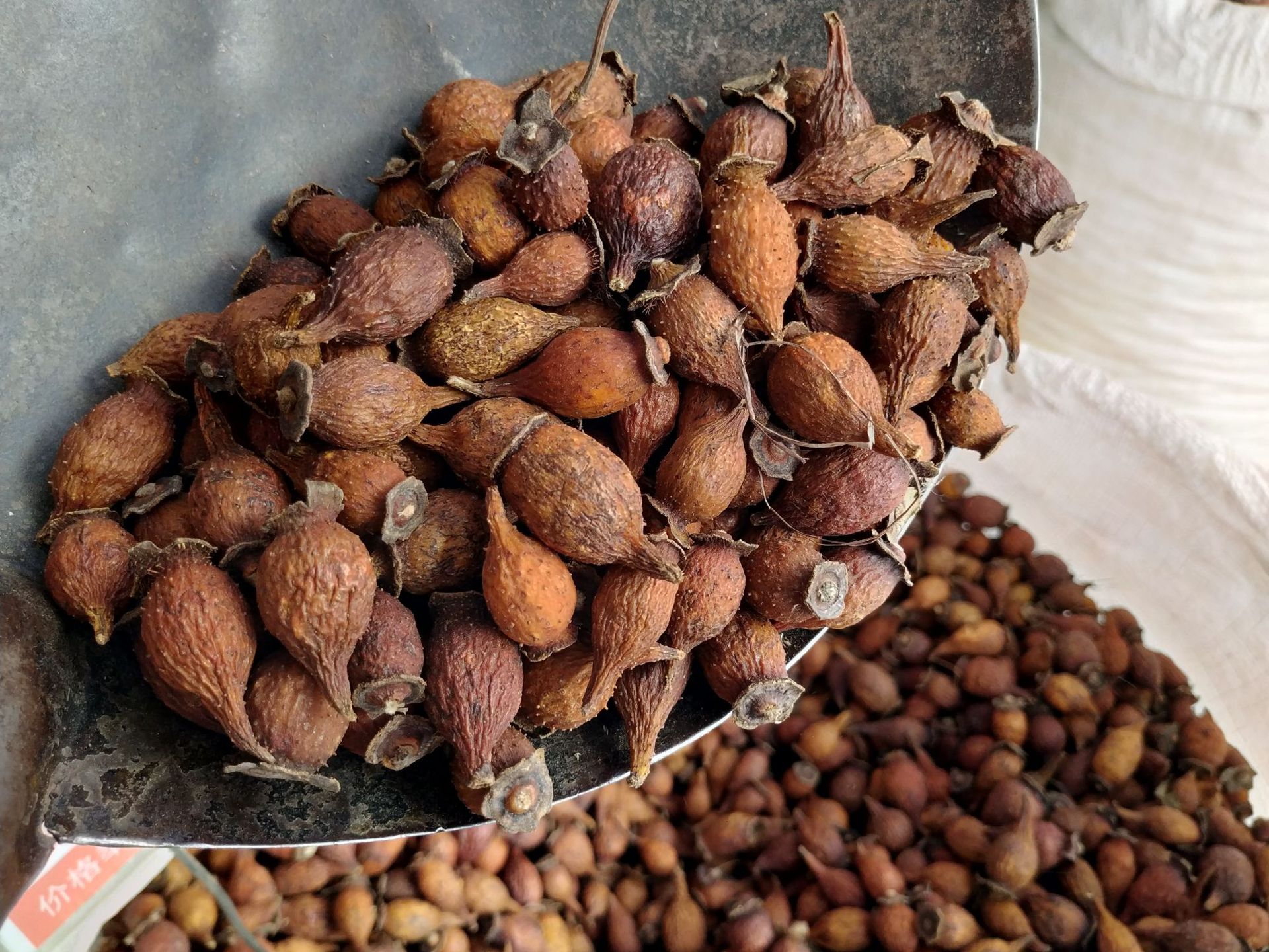 金樱子野生榆子金罂子刺梨子优质中药材泡酒山石榴山鸡子产地批发