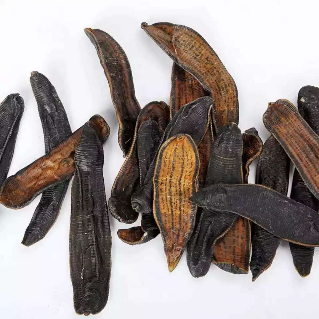 中药材 批发 水蛭 优质 水蛭干 清水吊干货 水蛭粉 蚂蟥 蚂蝗