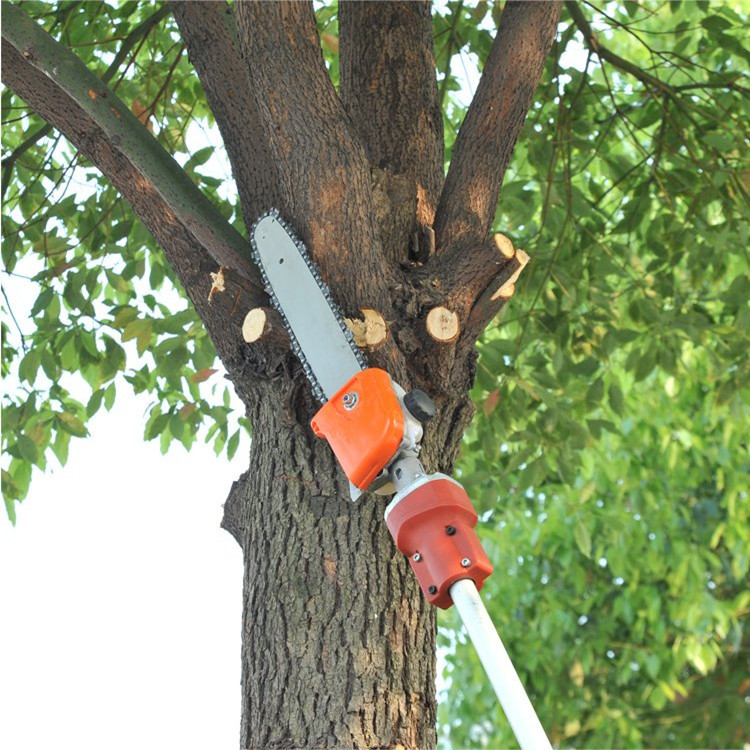 园艺剪工具 高空绿化养护树木修剪机械 树篱苗木高枝锯