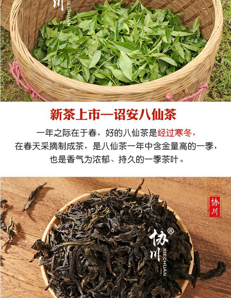 新茶诏安八仙茶土山茶500g雪片惠来潮汕黄旦茶叶浓香型散装高山茶