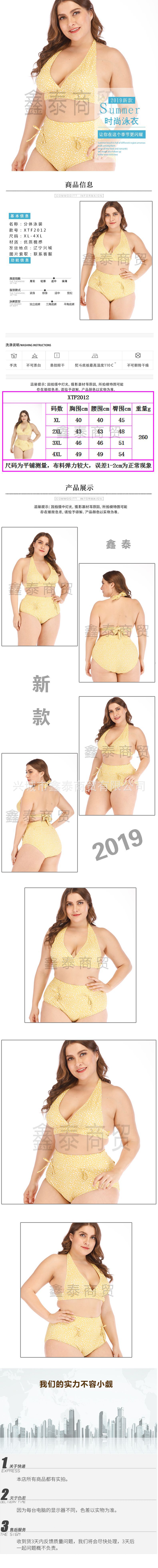 2020年新款欧美大码外贸bikini泳衣加肥加大肥婆比基尼高腰泳装