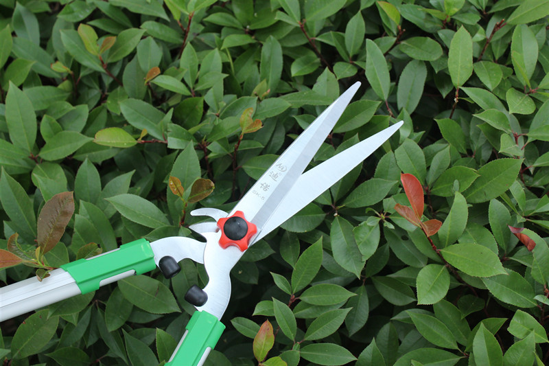 批发迪诺草坪剪 多功能篱笆剪 修枝大剪刀 鸟嘴修枝绿篱剪冬青剪