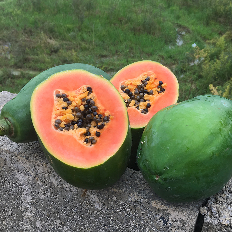 广东雷州冰糖红心木瓜8斤9斤 新鲜热带水果当季红心木瓜香甜多汁-阿里