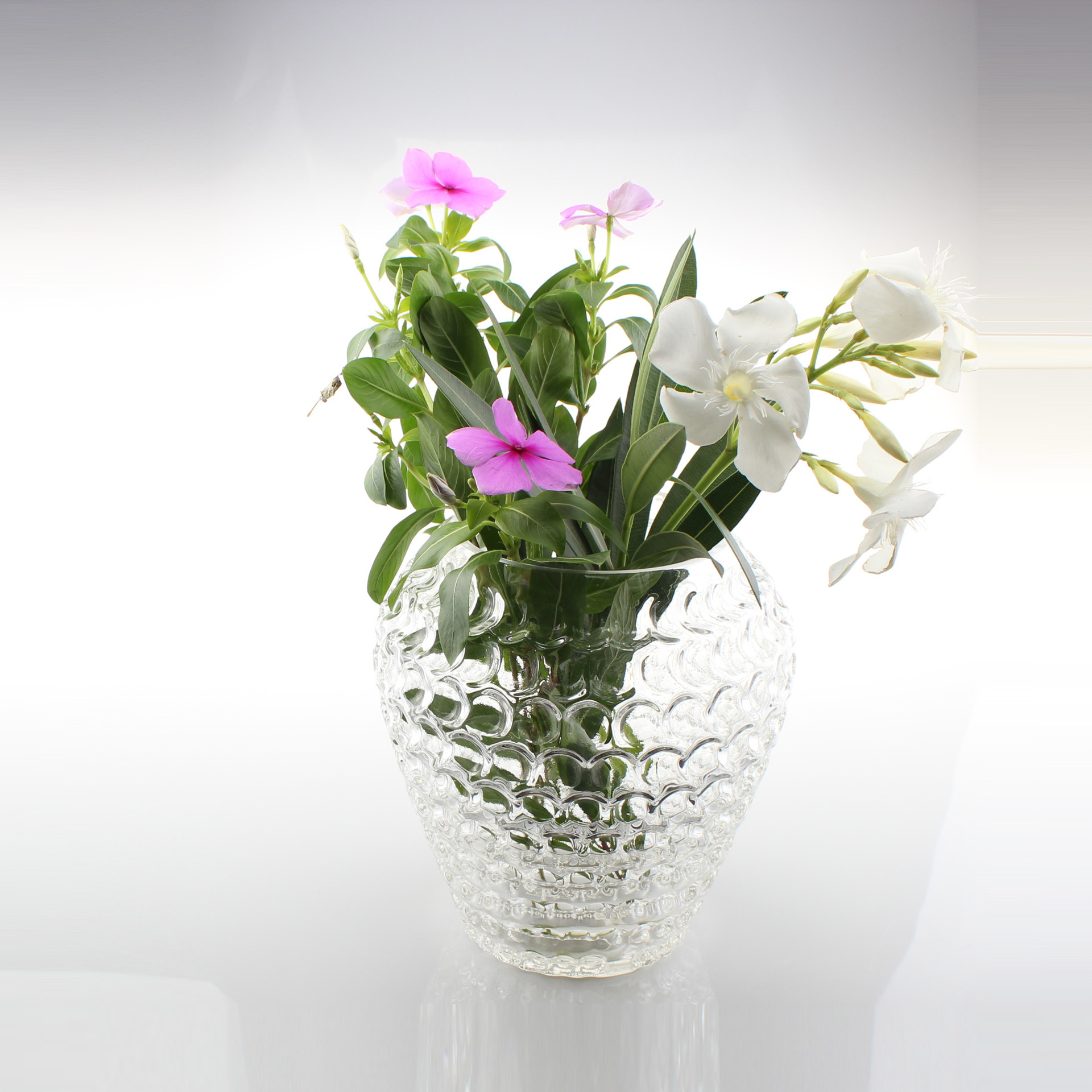 简约现代透明珠点玻璃花瓶 创意圆形大号珠点花盆插花简约落地