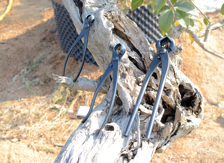 朱记盆景工具 球节钳 破杆钳 开枝剪 斜口剪大中小号全盆景造型用