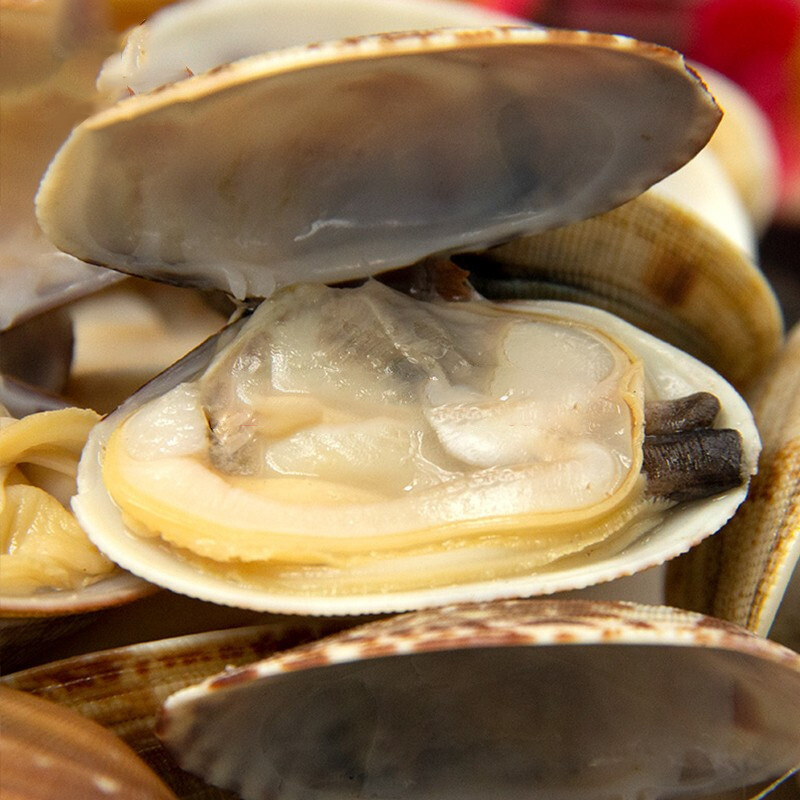 带壳花甲肉酸辣粉料理包蚬子小火锅代加工玉洋花蛤