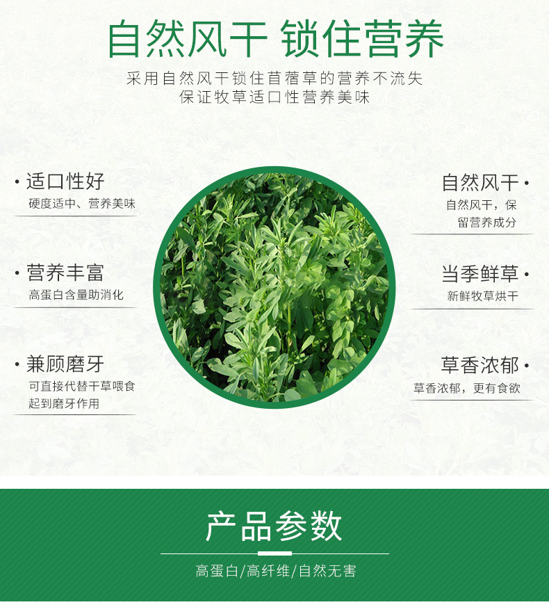 今年新草宠物草粉 紫花苜蓿草粉 马场动物园专用袋装苜蓿草粉70斤
