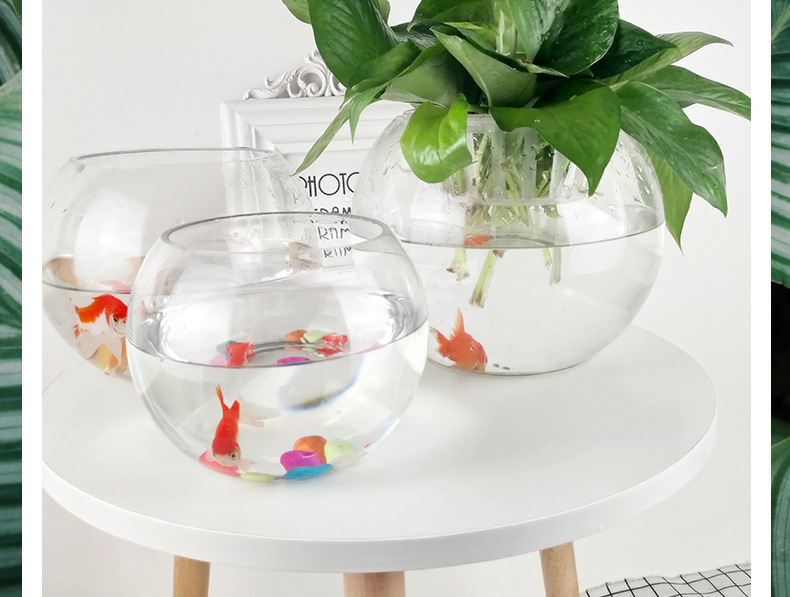 水仙盆 水养鱼缸 插花鱼缸 阳台绿萝篮花瓶一件代发