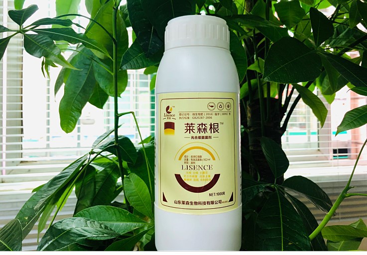 生根剂 扦插移栽用 树木果树植物用 沾根浸根生根液菌肥kg