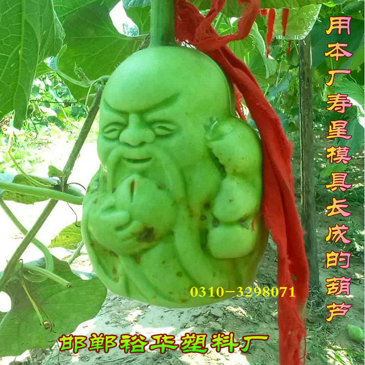 【10公分老寿星】人参果苹果梨蔬菜水果范制葫芦定型塑料模具农用