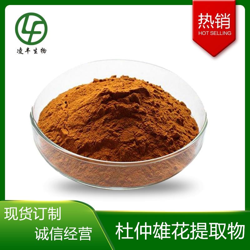 杜仲雄花提取物 规格20:1 杜仲雄花粉 厂家现货 | 欢迎咨询