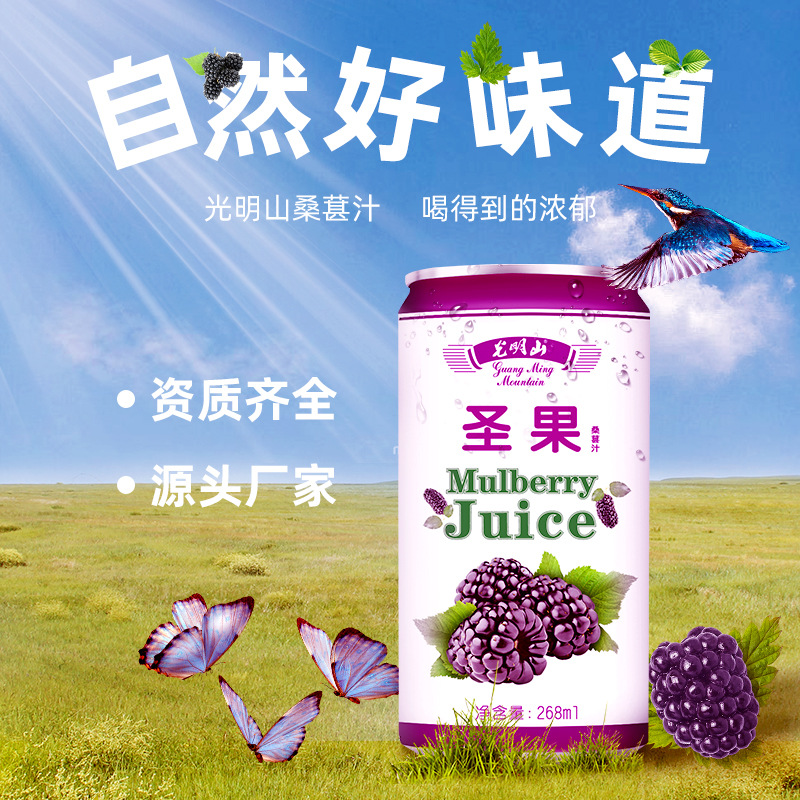 饮料 厂家直销现货桑葚汁饮料268ml /瓶 自然好味道光明山饮料