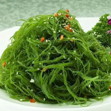 龙须菜 新鲜盐渍海发菜 海藻沙拉原料 火锅 凉拌菜食材批发 包邮