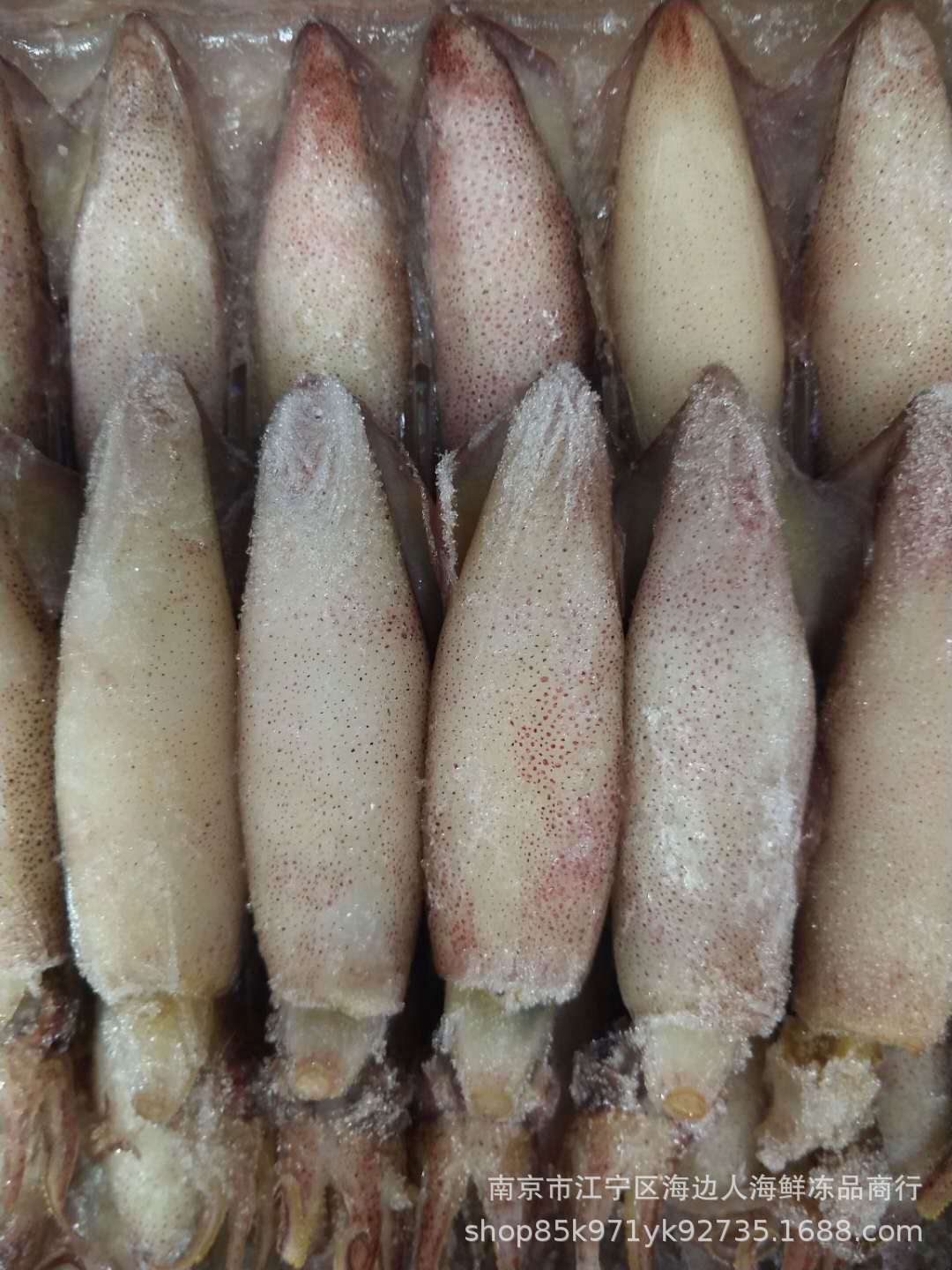 产地厂家直销冷冻野生半熟籽乌冷冻新鲜小乌仔海兔乌笔管鱼乌贼鱼
