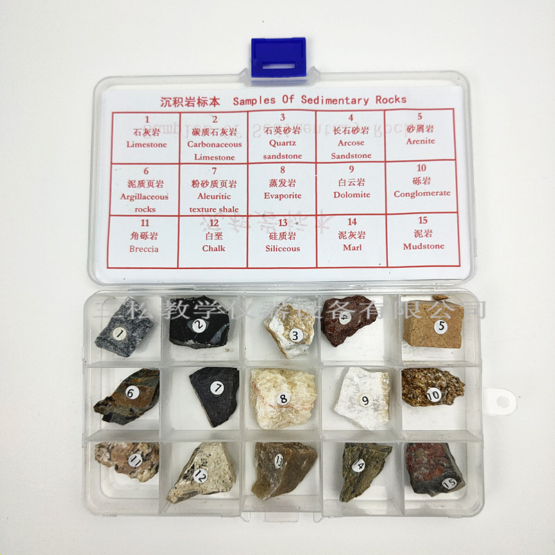 15种沉积岩标本3_副本