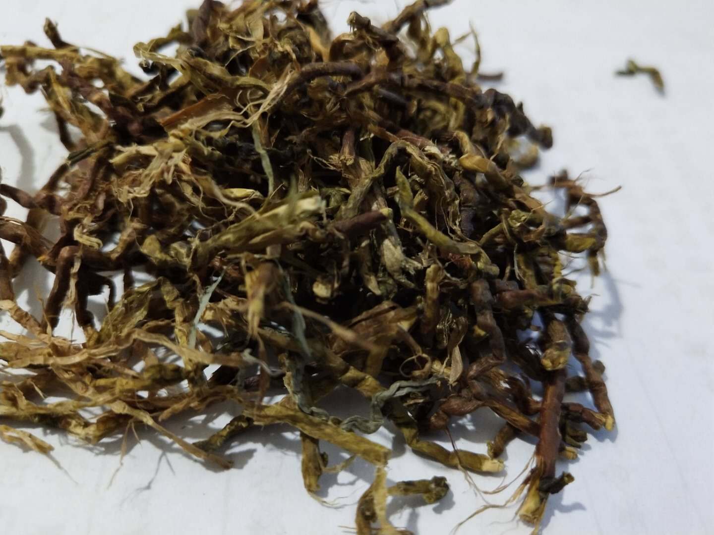 飒枫供应山蜜草茶 长寿草 山密草 山蜜草 山蜜茶新货 大货批发