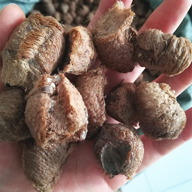 桑螵蛸 螵蛸 桑蛸 螳螂子各种等级 大货直供欢迎订购