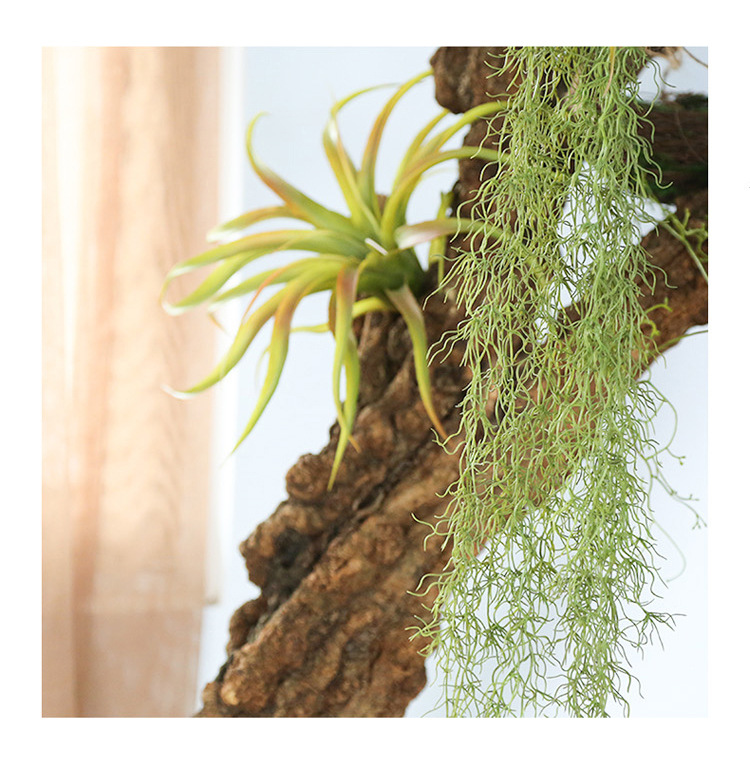 仿真空气凤梨 老人须松萝铁兰垂吊绿植室内装饰壁挂吊兰厂家批发