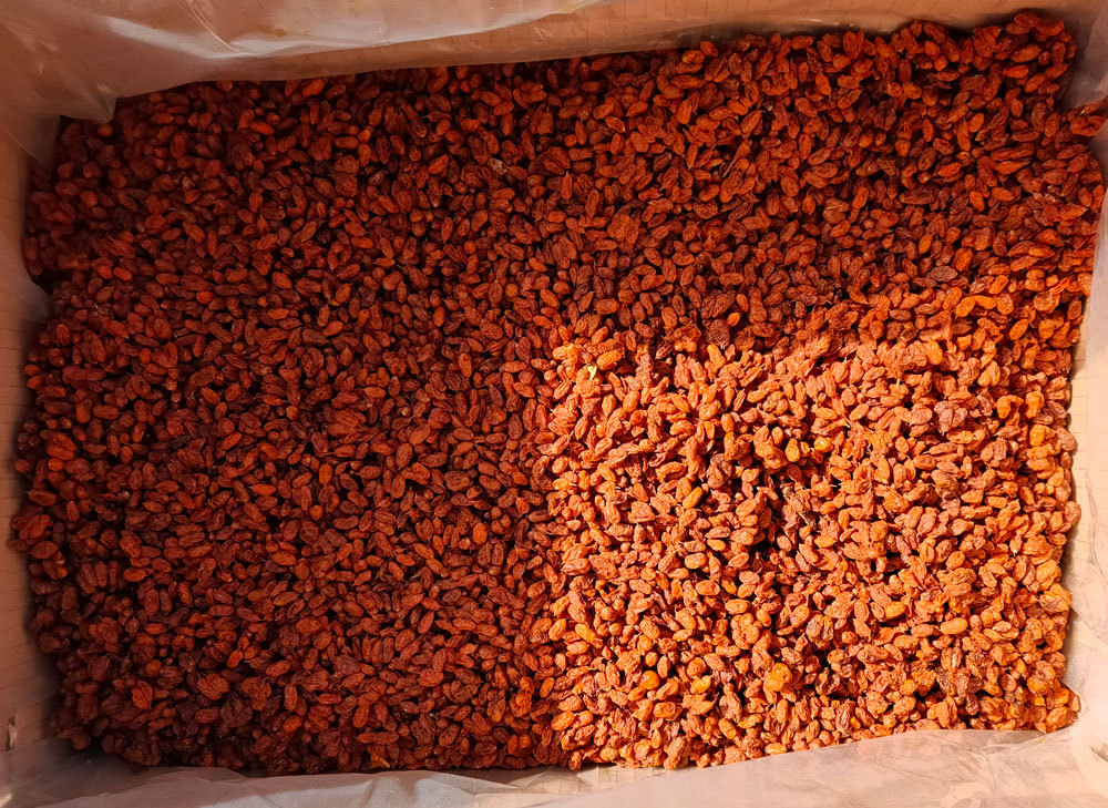 批发新疆 沙棘果 无硫食用沙棘干果 新货沙棘茶散装500克药食同源