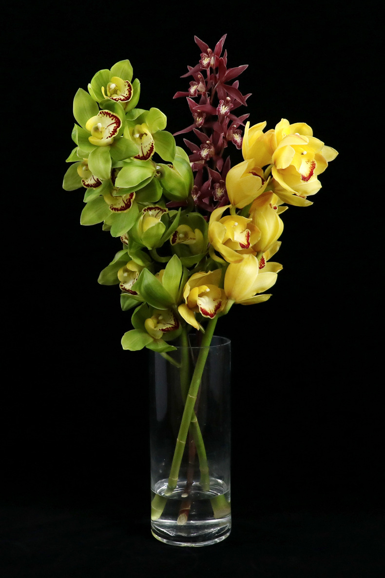 【大花蕙兰】长花期切花 云南昆明花店鲜切花批发大花蕙兰