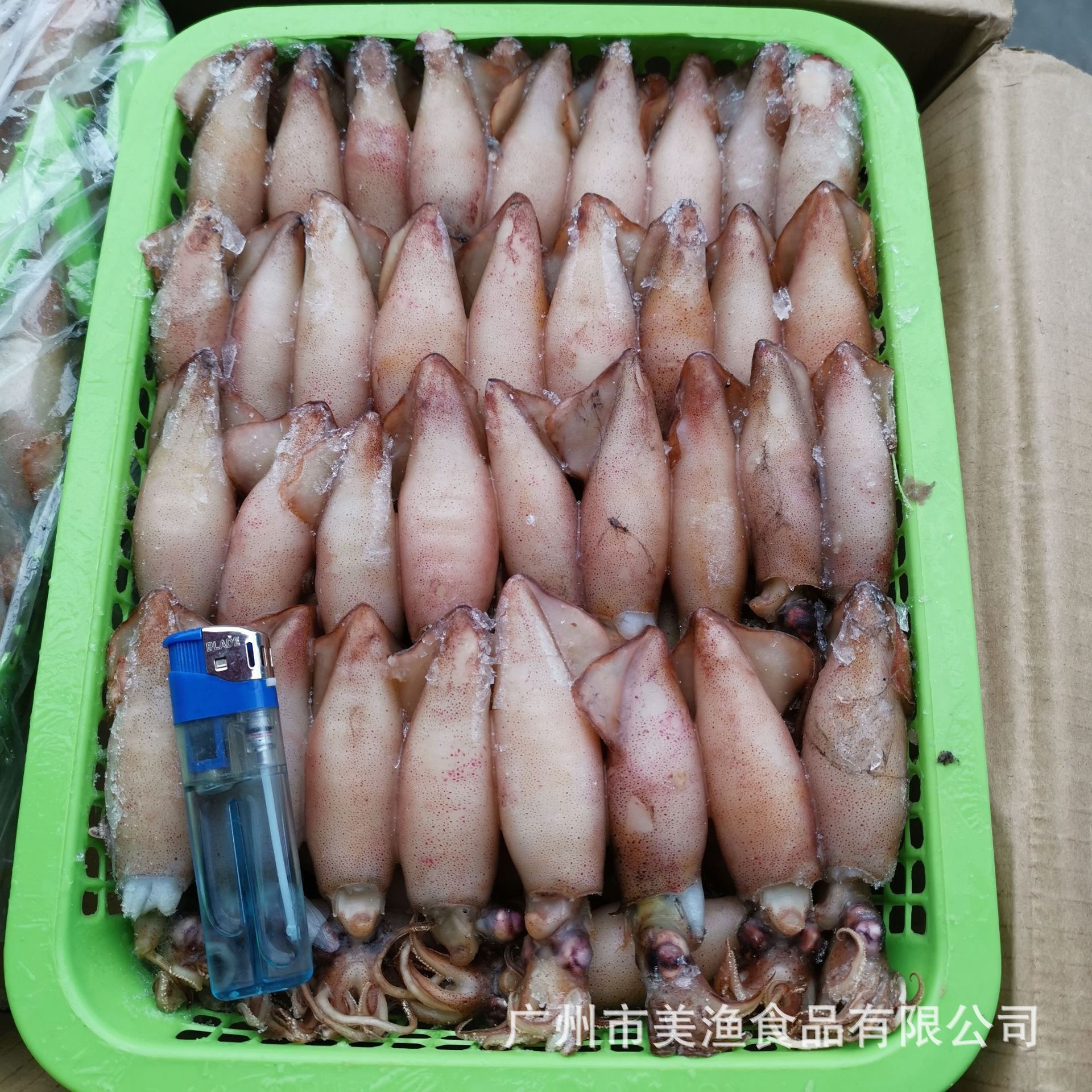 熟冻冷冻海兔子 羔鱿鱼熟冻 带冰鱼籽乌笔管带籽膏鱿包冰 4kg/件