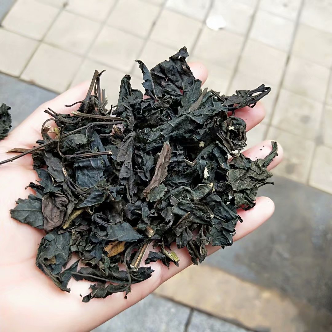 中药材大青叶每件500克
