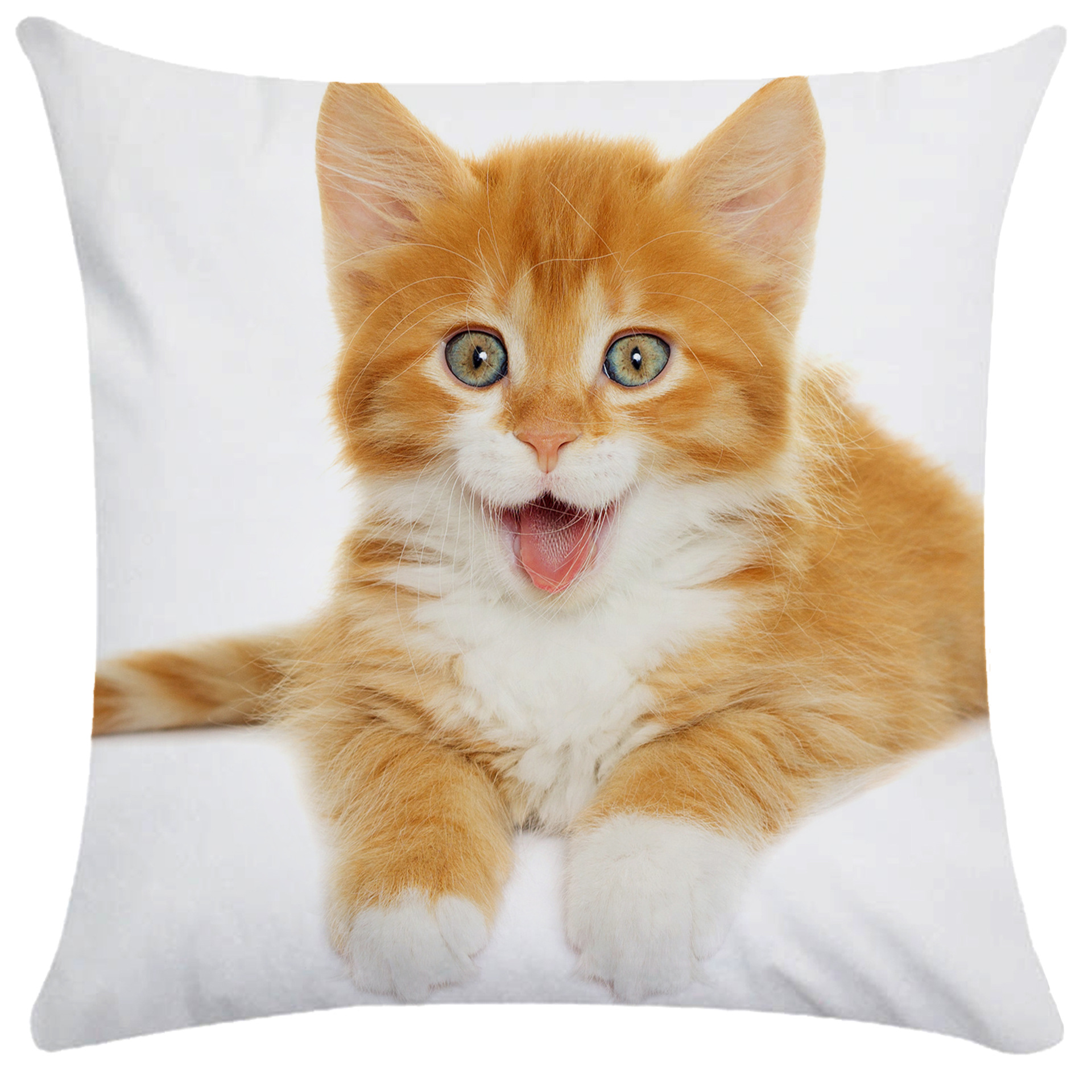 宠物猫枕套超柔呆萌可爱猫咪短毛绒单双面抱枕外贸靠枕跨境爆款