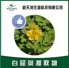 白屈菜碱 白屈菜 博落回提取物  植物提取生产厂家  现货供应