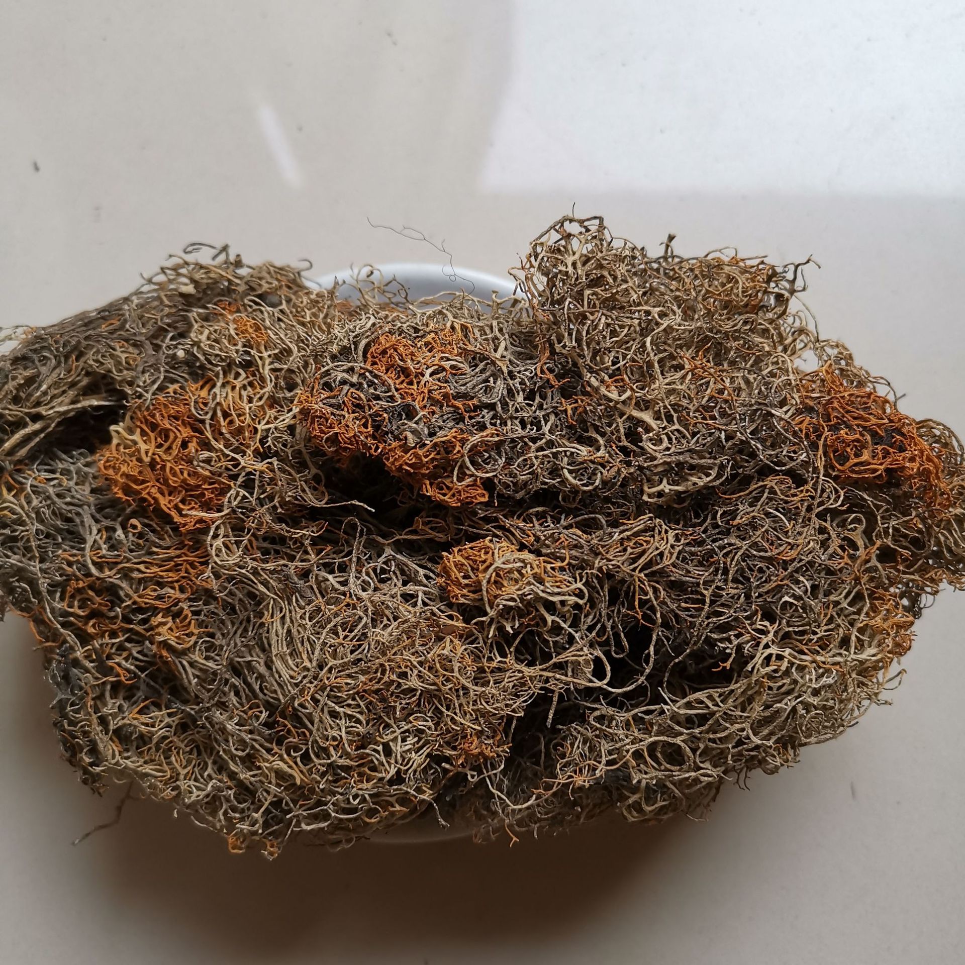 中药材 金刷把 金丝刷 金丝茶 红雪茶 赛尔浩花茶 金丝红雪茶