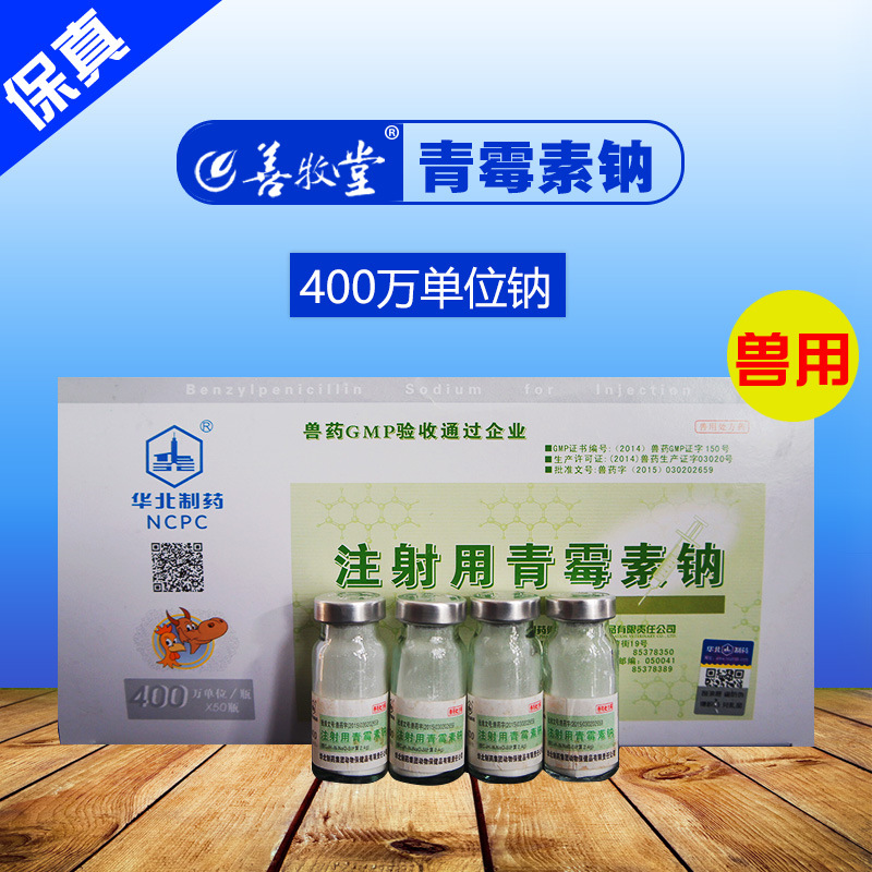 兽用注射用青霉素钠400万单位宠物狗猫鸡鸭猪牛羊常备药50支批发