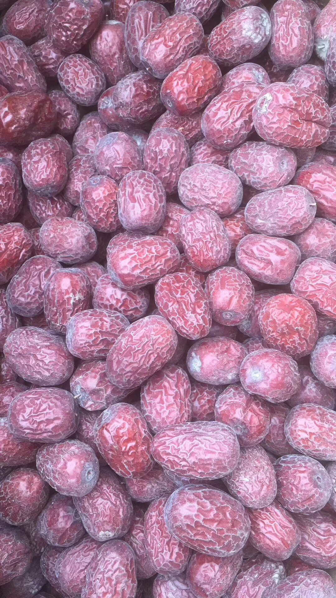 新货枣农新疆灰枣带灰红枣未清洗灰枣且末县灰枣