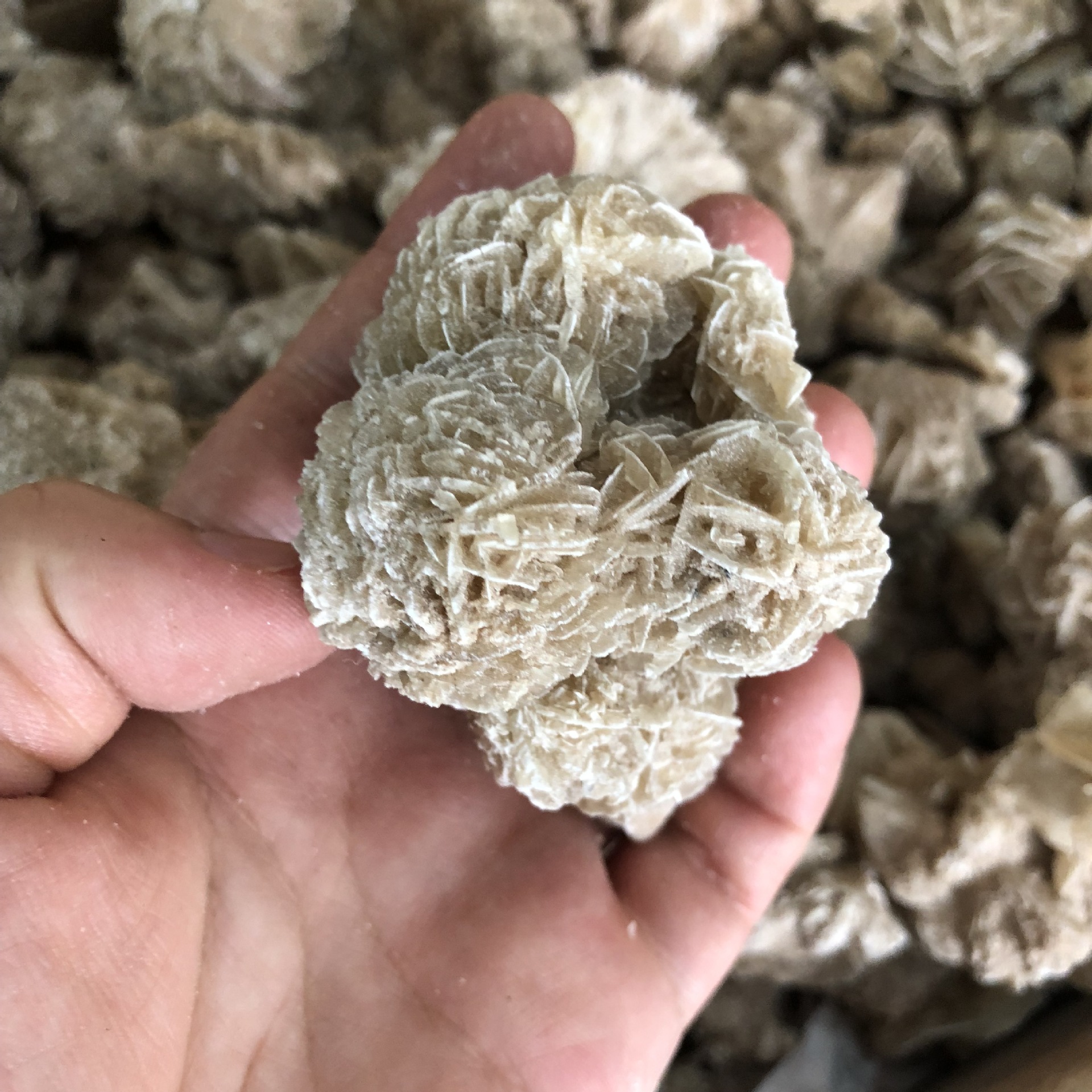 精品天然墨西哥沙漠玫瑰石 矿物晶体 奇石头原石 收藏品 观赏石