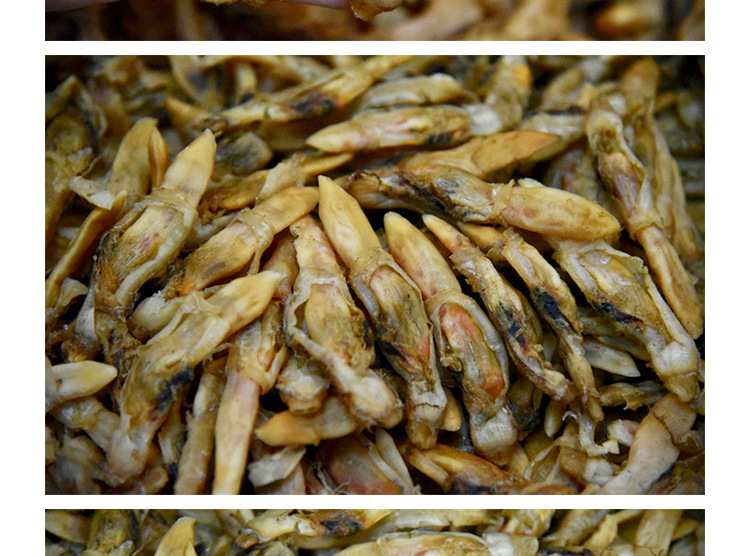 【圣子螺干】产地大货批发海鲜海味干货诚招代理一件代发淘宝货源