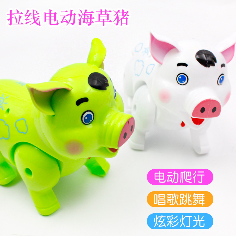 爆款 卡通电动牵绳海草猪 会走路发光音乐手提灯笼猪八戒玩具批发