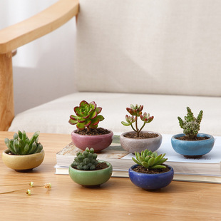 盆栽的花盆图片_盆栽的花盆图片大全 - 阿里巴巴海量精选高清图片