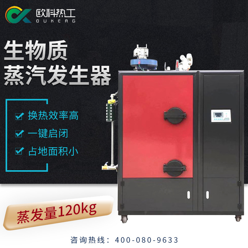 供应200kg颗粒木柴煤炭多用蒸汽发生器一键启动反烧全自动