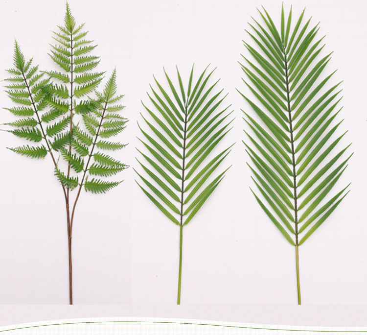 【欧丽菲】仿真植物葵叶竹葵叶绿植椰子叶葵树叶散尾葵叶摄影道具