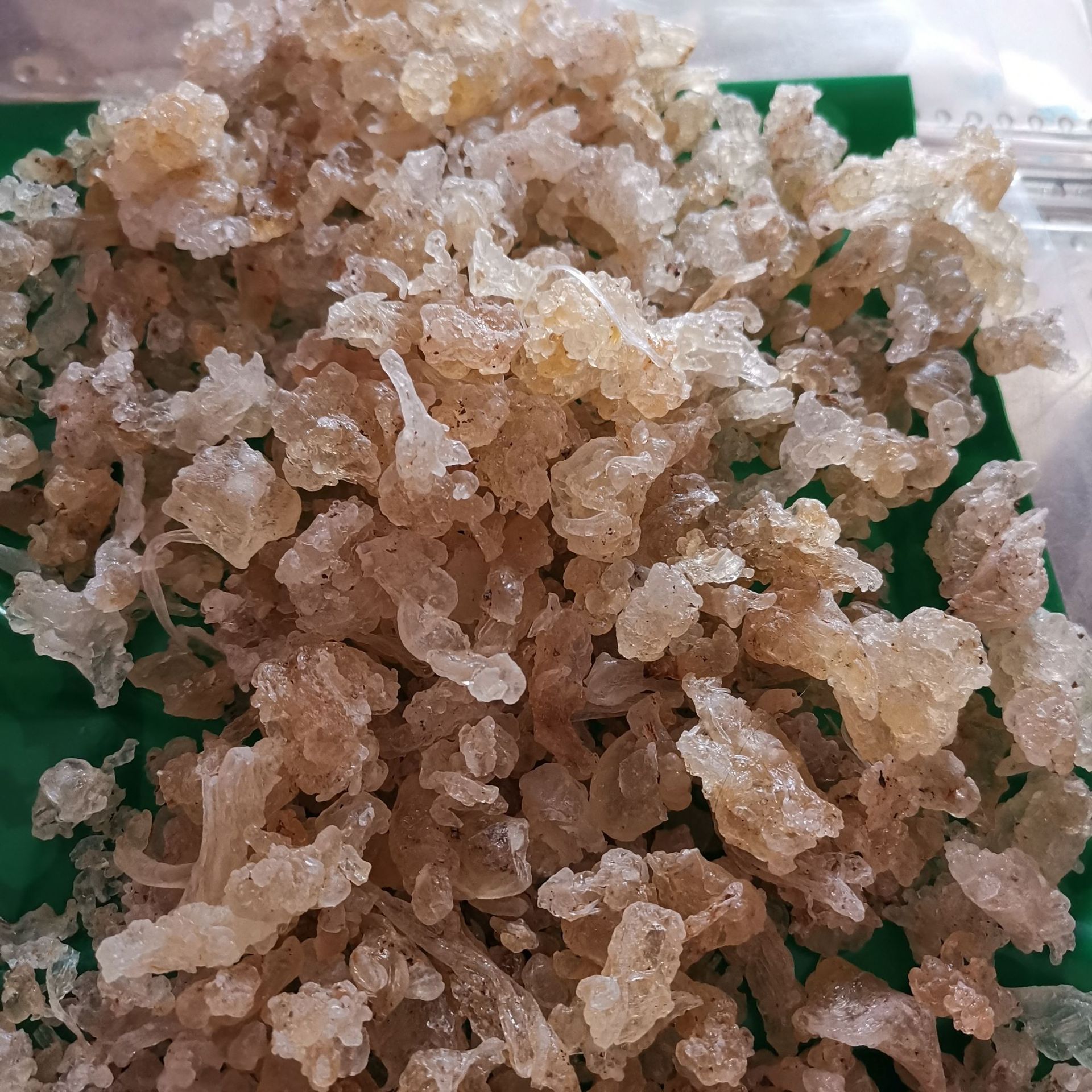 批发供应 雪燕 拉丝雪燕 植物燕窝 量大从优