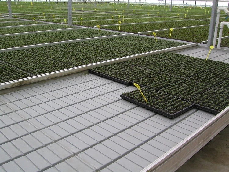 厂家直销 移动苗床 育苗养花温室移动苗床设施 育苗床