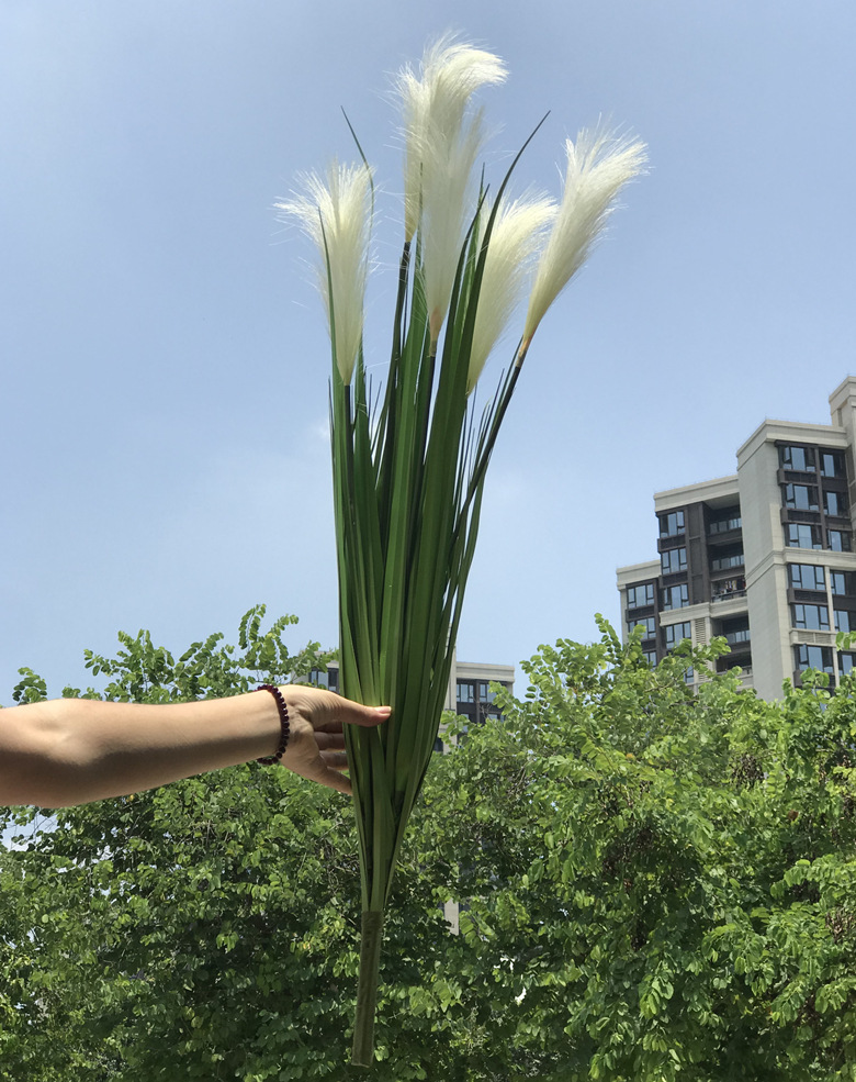 大支芦苇狗尾巴草田园仿真植物酒店会所西餐厅服装店橱窗装饰代理
