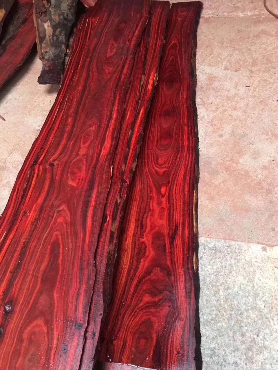 大量血檀 赞比亚血檀 非洲血檀 血檀原木 高油高密金星紫檀木材