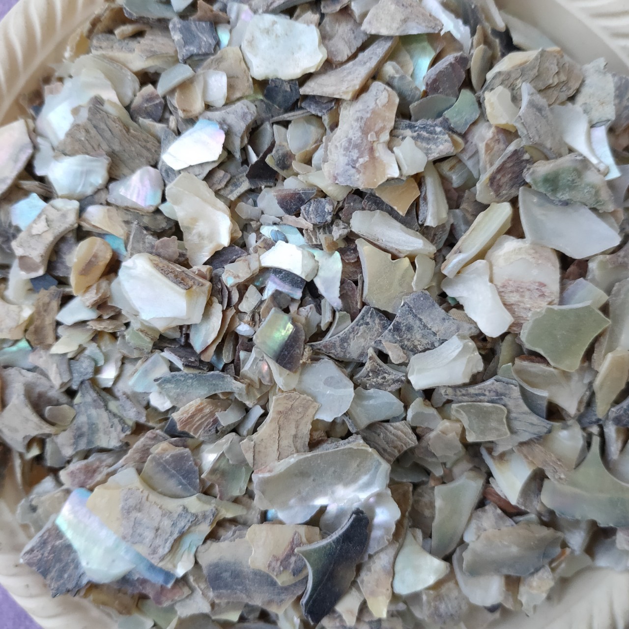 【粒石决明】-粒石决明厂家,品牌,图片,热帖-阿里巴巴