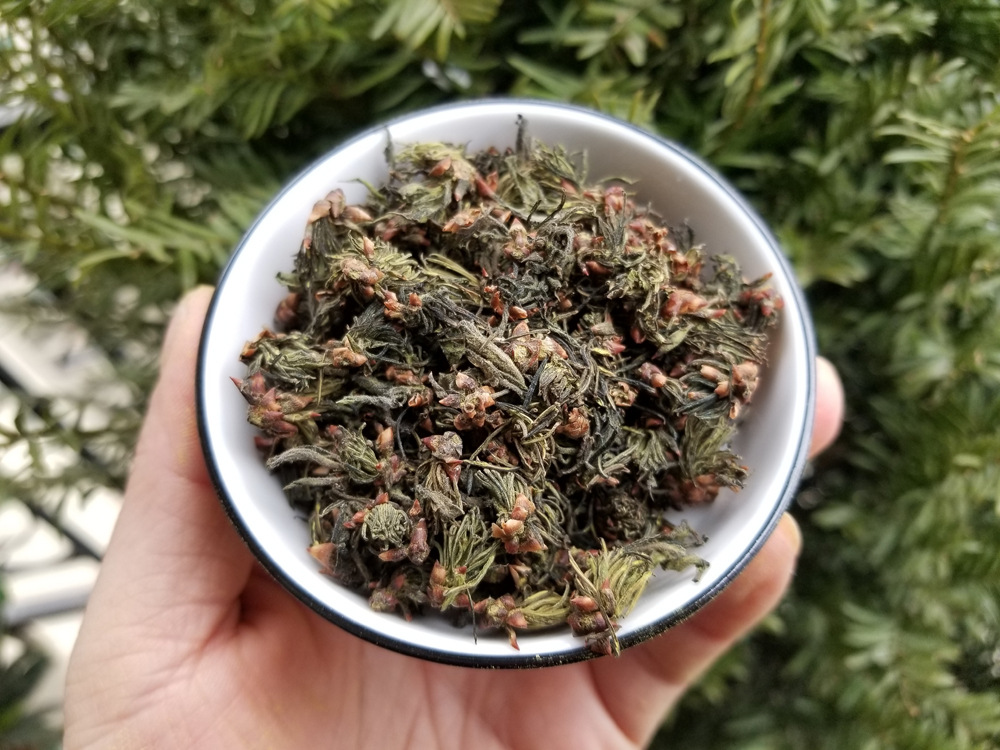 杜仲雄花花朵 500g每份包邮原材料中药材杜仲花批发一朵朵的雄花