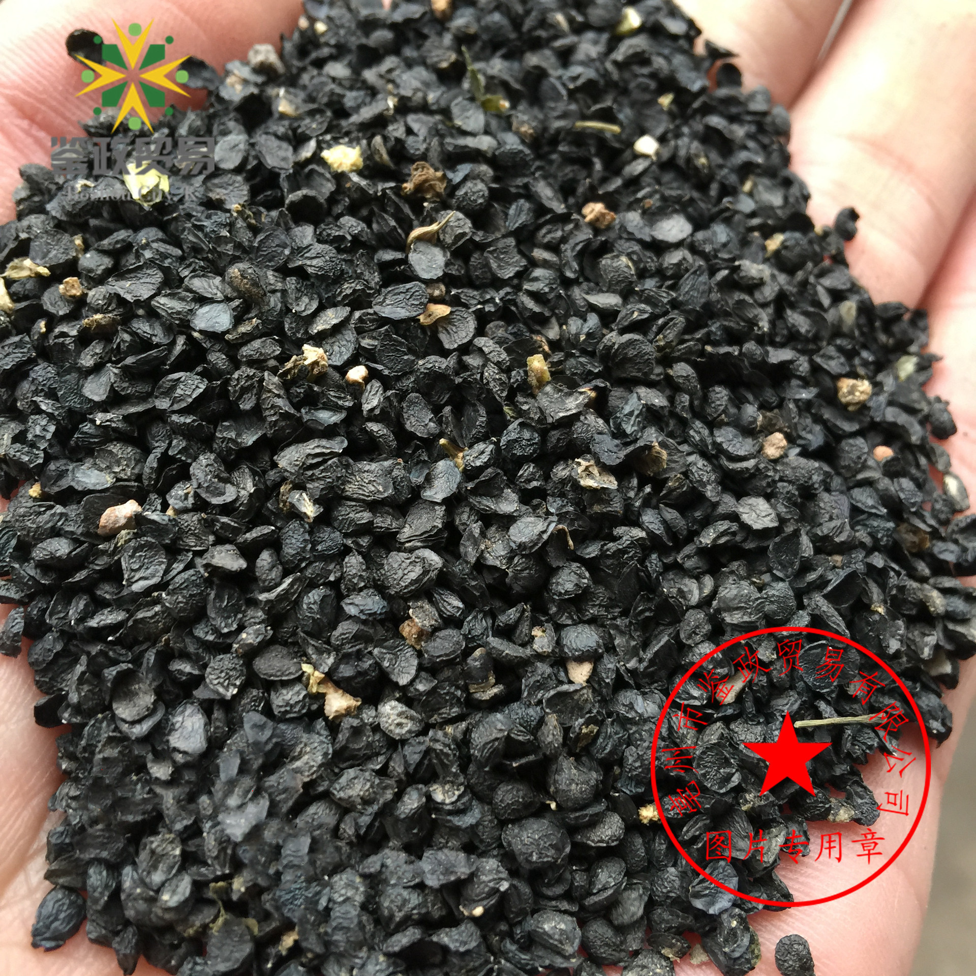 产地货源优质 纯韭菜籽 2斤散装批发 韭菜籽 干净无异籽新货0