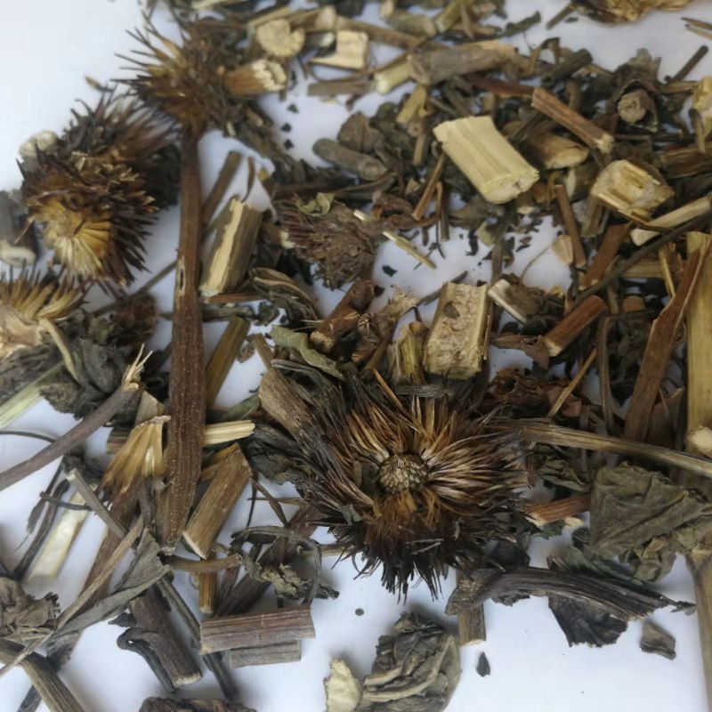紫锥菊归经_紫锥菊九大功效与作用_紫锥菊药材
