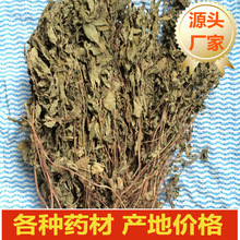 仙草干 黑凉粉草 烧仙草原料仙草蜜 仙草冻新鲜草干 龟苓膏仙人粄