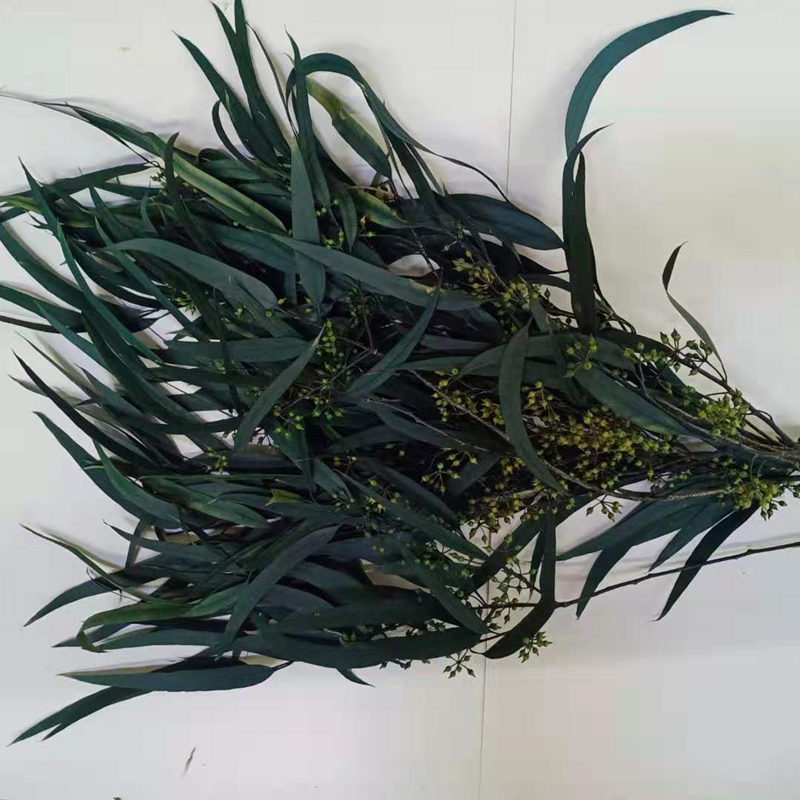 永生小米果叶按树叶家居办公装饰干枝叶配材干花永生花花束小米果