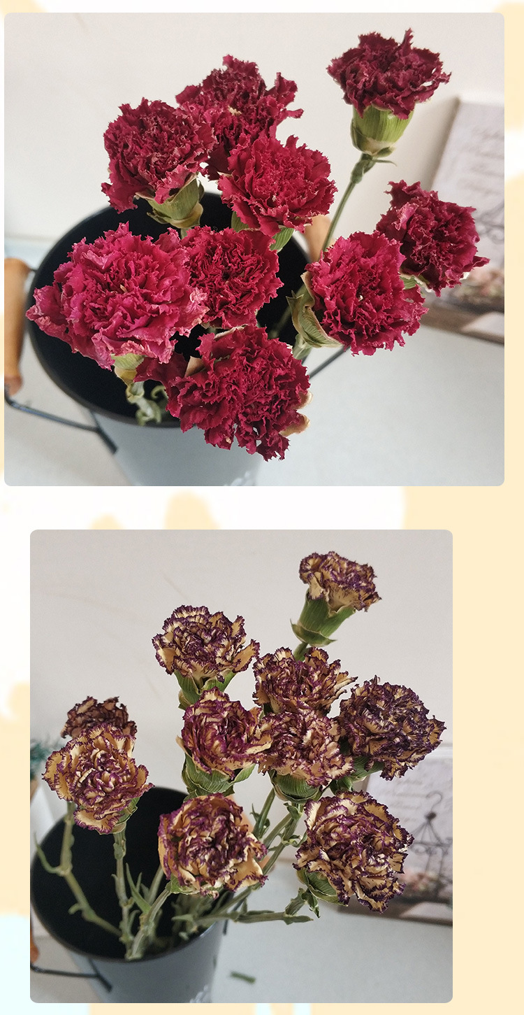 康乃馨干花花束装饰摆设风干花束真花教师节情人节创意礼物乾燥花