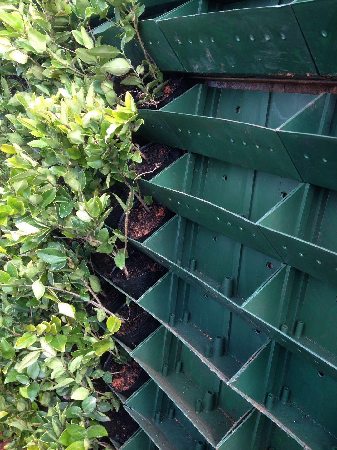 直销人气环保室内外立体垂直绿化植物墙组合式塑料种植花盆容器槽