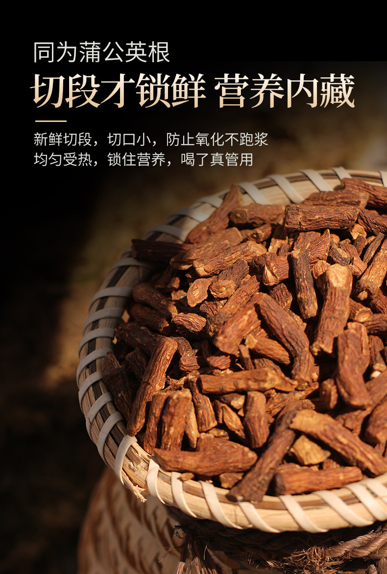 蒲公英根野生代加工 长白山野生婆婆丁大根中根小根批发 一件代发